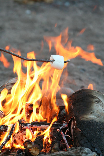 Roasting Marshmallows on a Campfire